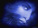 beau regard