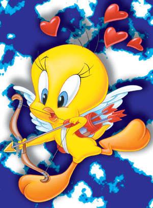 titi d amour
